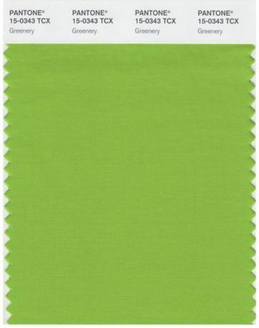 Pantone Greenery Color of the 2017