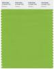Greenery numită culoarea Pantone a anului 2017